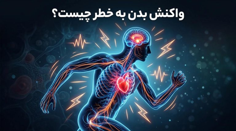 واکنش بدن به خطر چیست؟ آشنایی با انواع واکنش‌های طبیعی بدن در برابر استرس، ترس و تهدید
