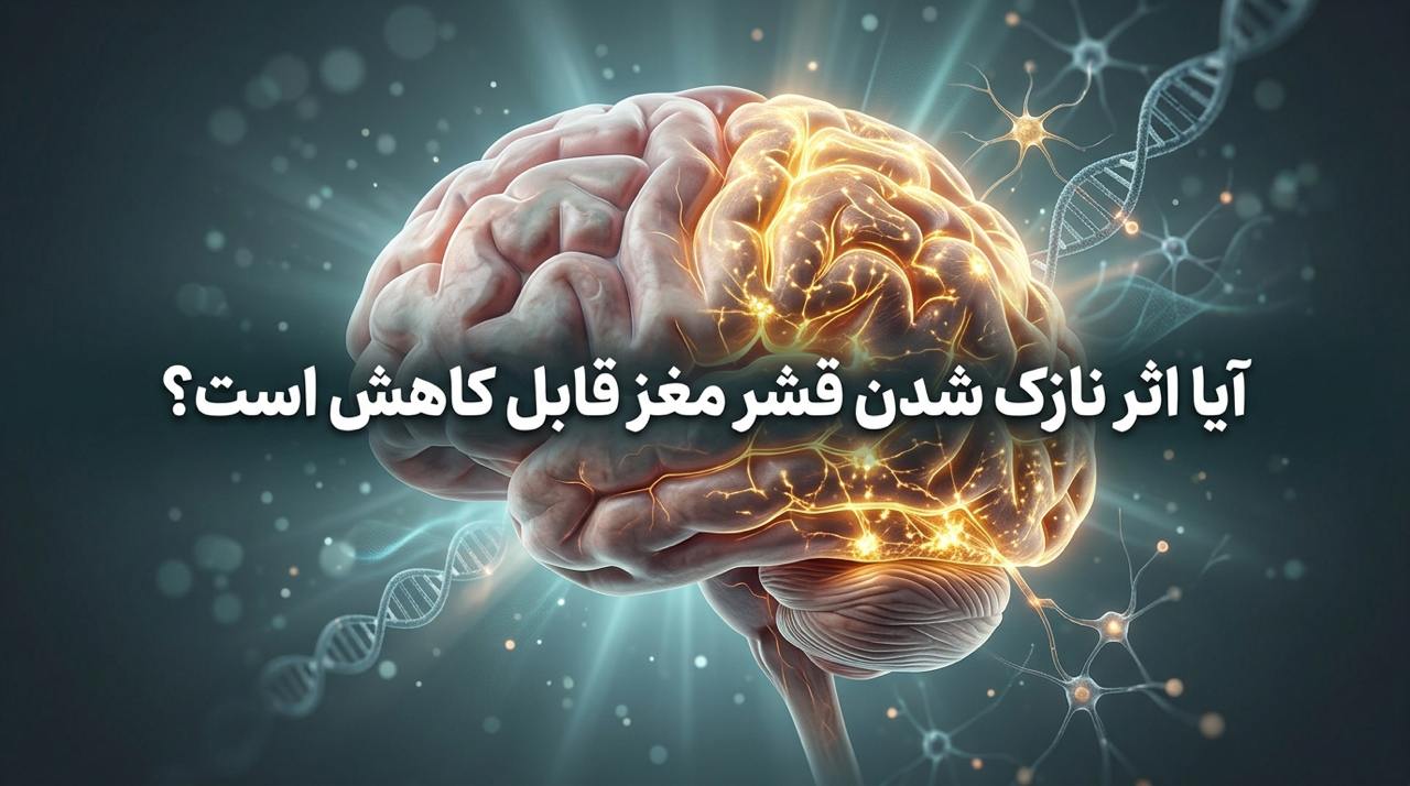 آیا اثر نازک شدن قشر مغز قابل کاهش است؟ نقش نوروپلاستیسیته، روان‌درمانی و سبک زندگی در بهبود عملکرد مغز