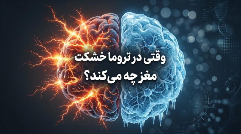 وقتی در تروما خشکت می‌زند مغز چه می‌کند؟ آشنایی با دفاع فعال و دفاع منفعل در آسیب روانی