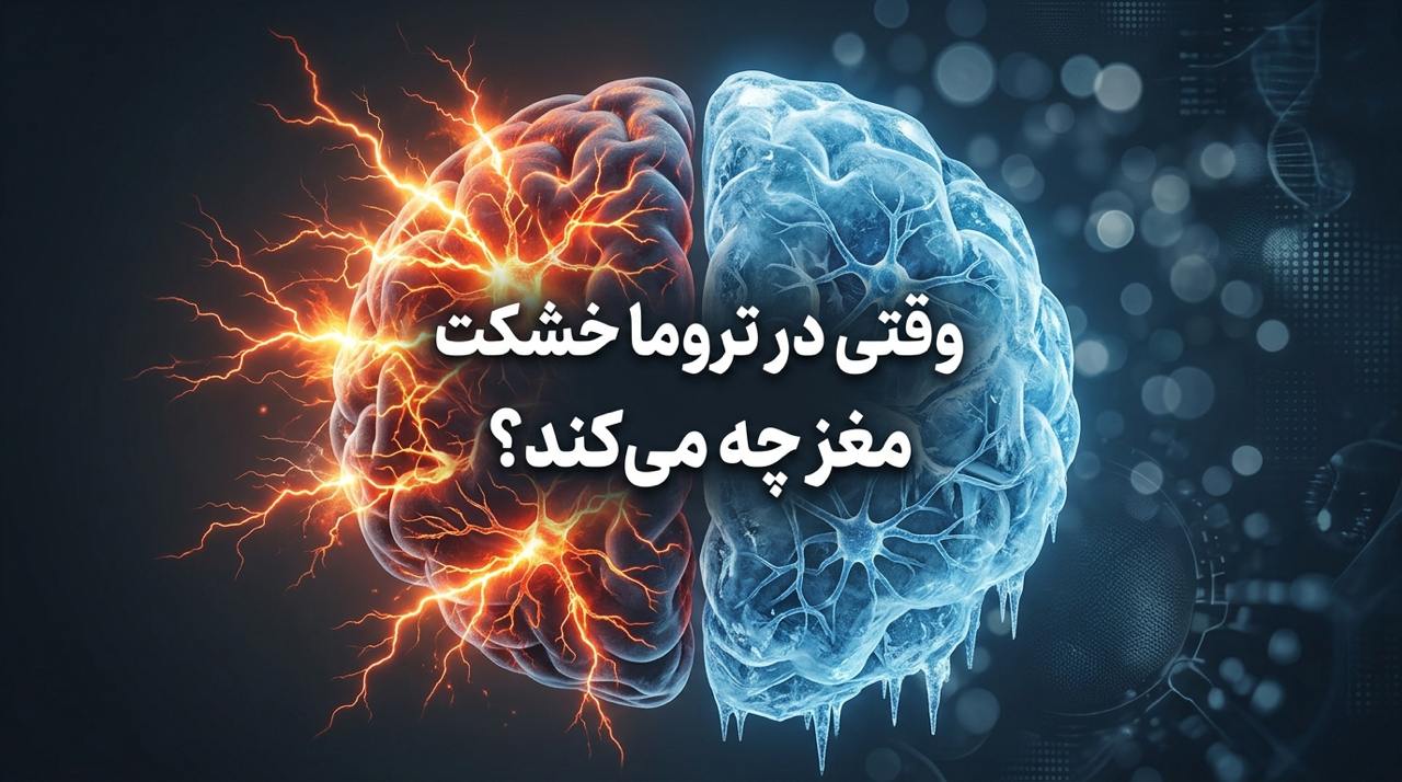 وقتی در تروما خشکت می‌زند مغز چه می‌کند؟ آشنایی با دفاع فعال و دفاع منفعل در آسیب روانی